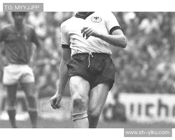 欧洲足坛名门之后球星的豪门出身与辉煌征程 欧洲足坛名门之后球星的豪门出身与辉煌征程