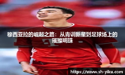 天博体育官方平台入口